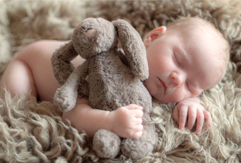 Baby Portraits