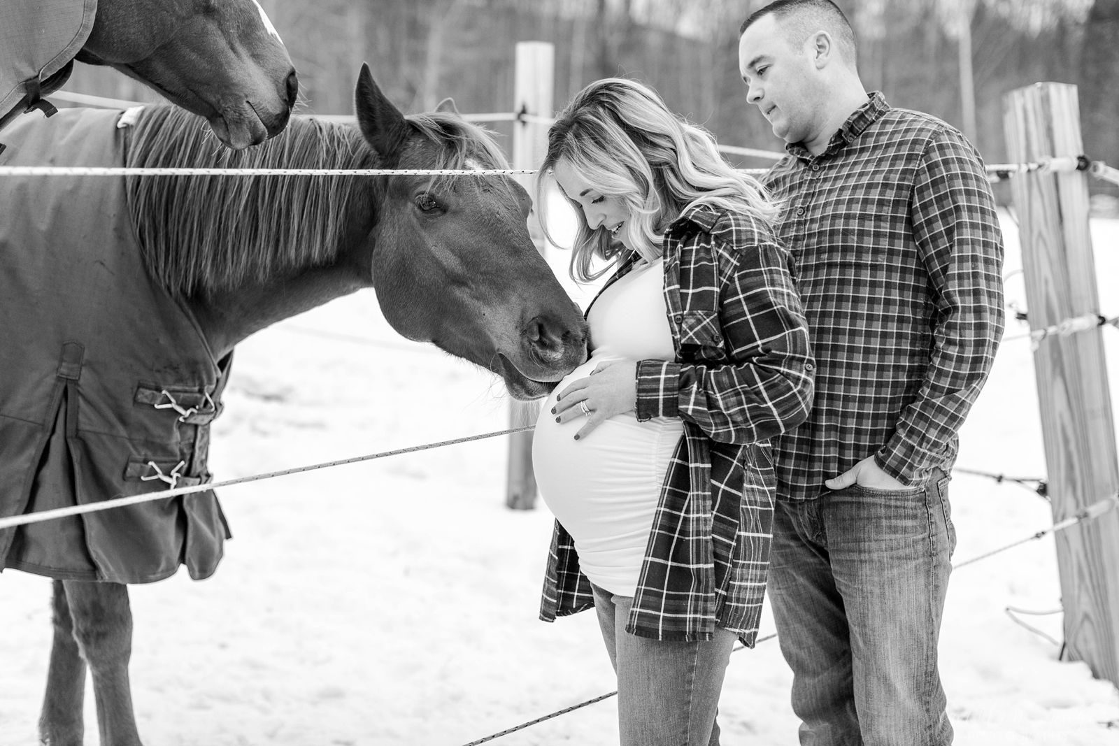 Maternity Portraits